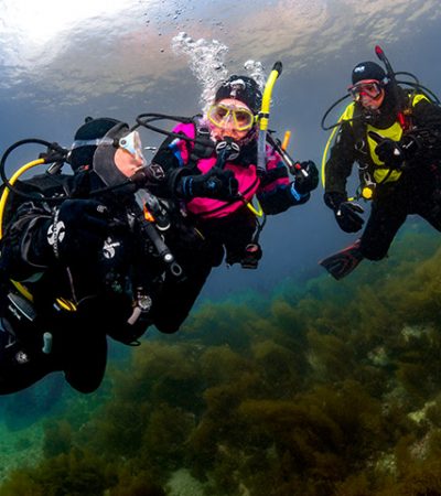 drysuitdivers